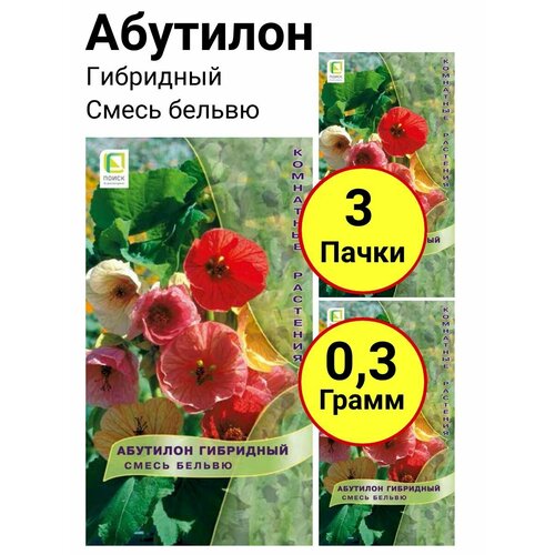 Абутилон гибридный Смесь бельвю 0,1 грамм, Поиск - 3 пачки фото