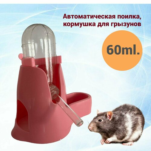 Поилка, кормушка для грызунов 60ml, розовая фото