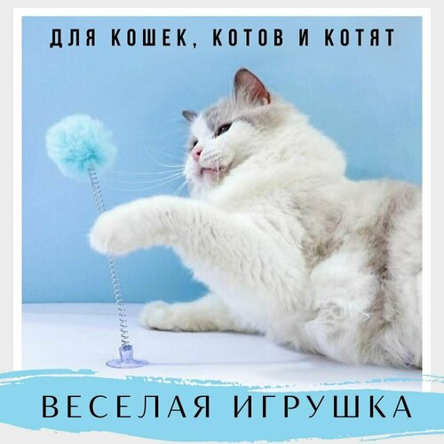 фотография Игрушка для кошки ( кота ) и котят / Good Ideas / дразнилка на присоске голубая 1 шт, купить за 258р