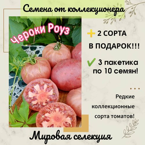 фотография Томат Чероки Роуз, бархатные плоды, селекция Брэда Гейтса, США, коллекционный сорт, купить за 295р