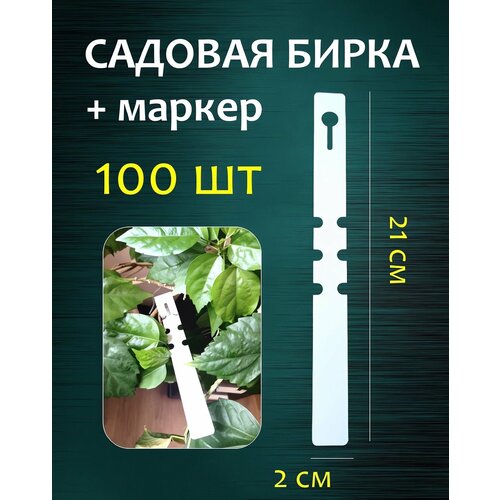 Садовая бирка петелька для маркировки растений белая 20*210 мм 100 штER фото