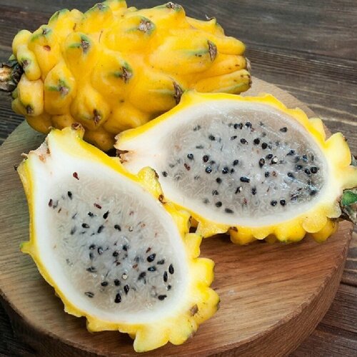 фотография Семена Орешка Питахайя желтая с белой мякотью, Dragon fruit yellow 10 шт., купить за 320р