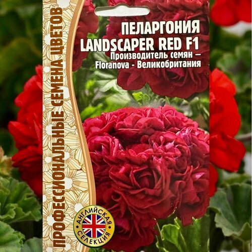 Семена многолетних цветов для дома и сада Пеларгония Landscaper Red герань многолетник фото