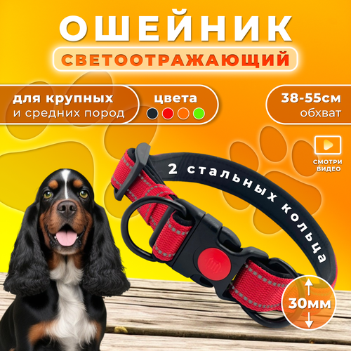 Ошейник Doggy&Dog Shop, для крупных и средних собак, с двумя кольцами фото