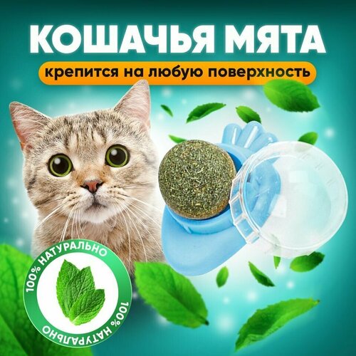 Кошачья мята шарик на стену / леденец для кошек и котят/игрушка для кошек/ фото