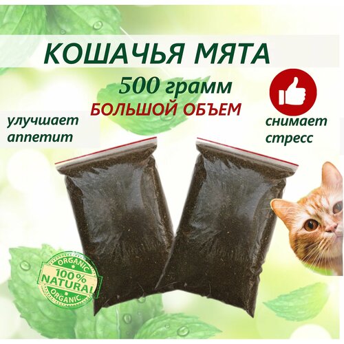 Кошачья мята лакомство для кошек 500 грамм. Котовник сушенный. Для приучения к месту, коррекции поведения, успокоительное. фото