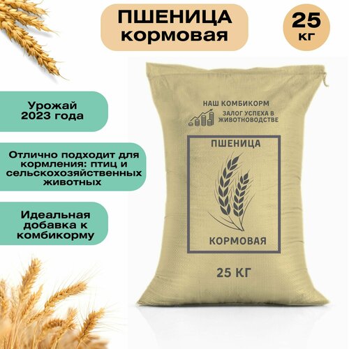 Пшеница кормовая 25 кг. Незаменимый продукт для сельскохозяйственных животных, подходит для кормления птицы, кроликов и КРС фото