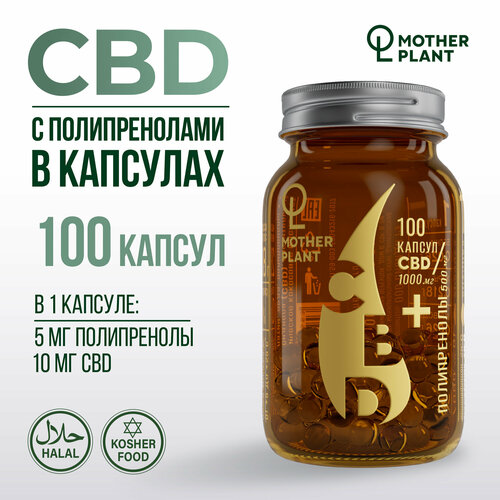 Масло CBD с полипренолами в капсулах (100 капсул по 10 мг), Motherplant фото