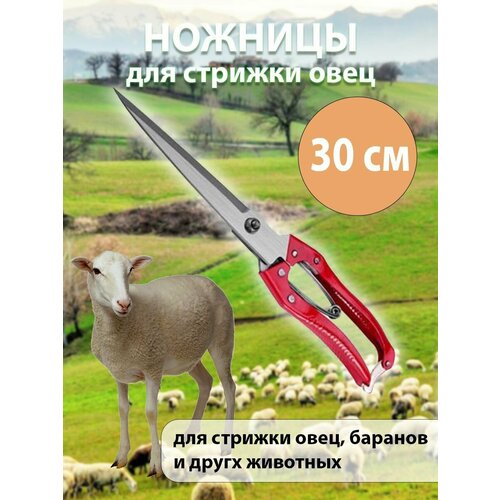 Ножницы для стрижки овец 