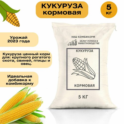 Кукуруза кормовая 5 кг. Незаменимый корм для крупного рогатого скота, кур, гусей, свиней и других животных. Отборные сорта зерновых культур фото