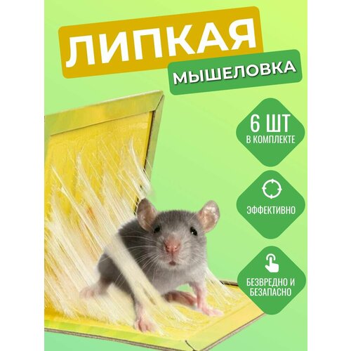 Мышеловка клеевая для мышей ловушка 6 шт фото