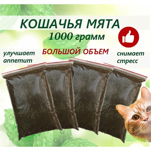 Кошачья мята лакомство для кошек 1 кг. Котовник сушенный. Для приучения к месту, коррекции поведения, успокоительное. фото