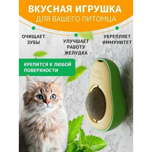 Игрушка для кошек мятное авокадо. Кошачья мята для чистки зубов и расслабляющий эффект на домашних животных. Loloki фото