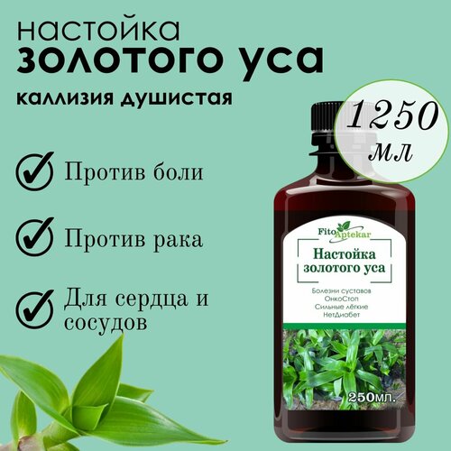 Настойка золотого уса 