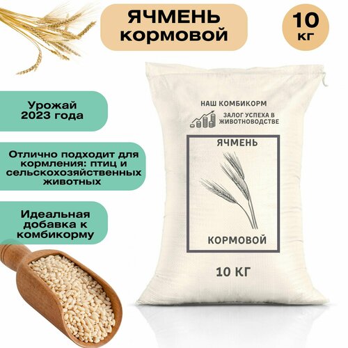 Ячмень кормовой 10 кг. Незаменимый продукт для кормления крупного рогатого скота, свиней, овец, домашней птицы и рыб. Для полноценного питания фото