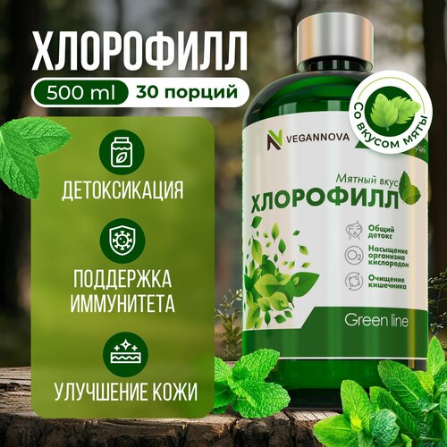 Vegannova БАД Хлорофилл жидкий со вкусом мяты, 30 порций, 500 мл фото