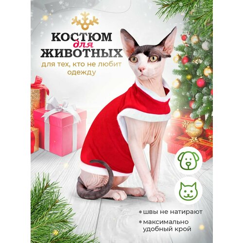 Одежда для животных кошек сфинкс и собак мелких пород, размер XL фото