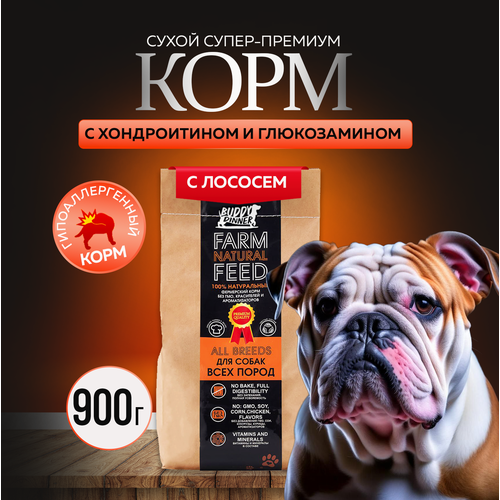 фотография Сухой корм для собак крупных и средних пород Buddy Dinner Orange Line Hypoallergenic с лососем 900 гр, купить за 790р