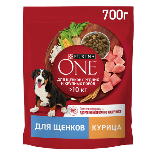 фотография Сухой корм для щенков Purina ONE для средних и крупных пород с курицей и рисом 700 г, купить за 259р