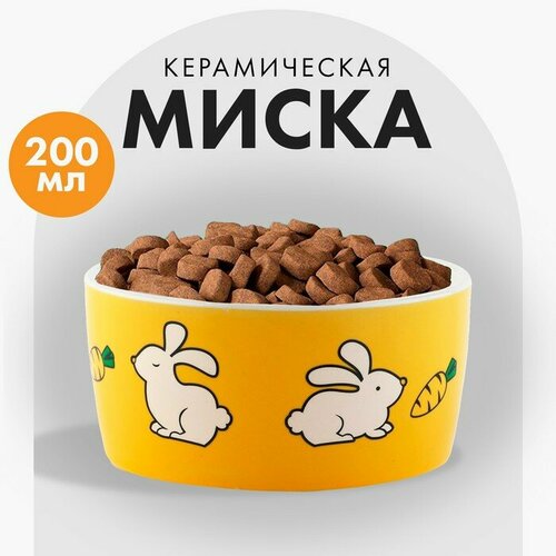 Миска керамическая 