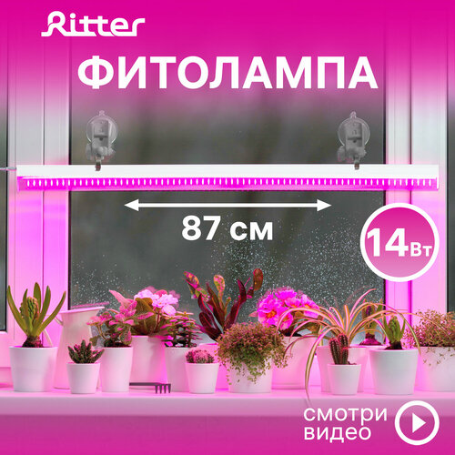 Фитолампа светодиодная для растений Т5 Ritter PLANTA, 14Вт, 880х23х34мм, провод 2м, выключатель на корпусе, цвет белый, фитосветильник для рассады линейный, светильник для комнатных цветов, 56297 9 фото