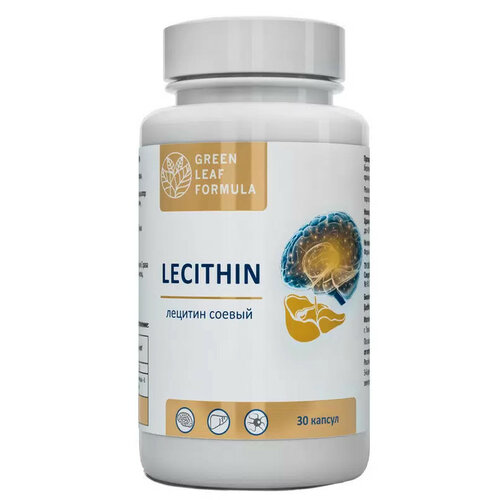 LECITHIN Лецитин соевый (2 банки), эссенциальные фосфолипиды, витамины для мозга, для памяти, для спорта, для печени, для сердца и сосудов фото