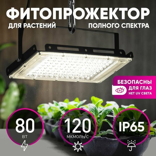 Фитопрожектор для растений светодиодный ЭРА FITO-80W-Ra90-LED-Y полного спектра фото