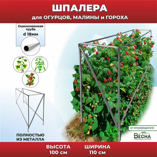 Шпалера садовая для малины, огурцов и гороха. Опора для вьющихся растений. фото