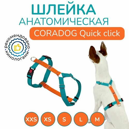 Шлейка прогулочная анатомическая для средних пород собак, CORADOG Quick click, размер S, цвет бирюзовый, оранжевый фото