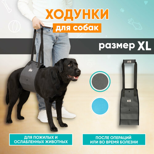 Задняя поддержка для собак, ходунки для собак Mr Dog серая, XL фото