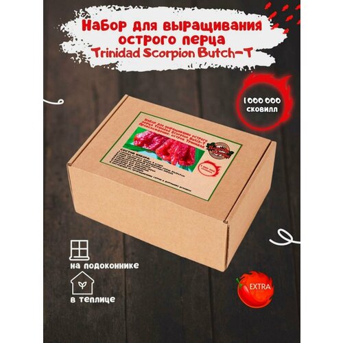 Набор для выращивания острого перца Тринидад скорпион в домашних условиях, мини парник для рассады фото