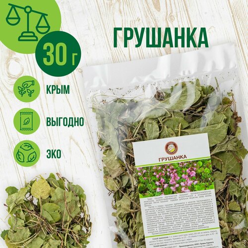 Грушанка сушеная, 30гр фото