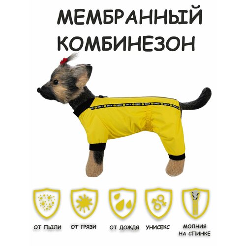 Дождевик для собак DOGMODA Мартин (желтый) унисекс , р. 3, 28см фото