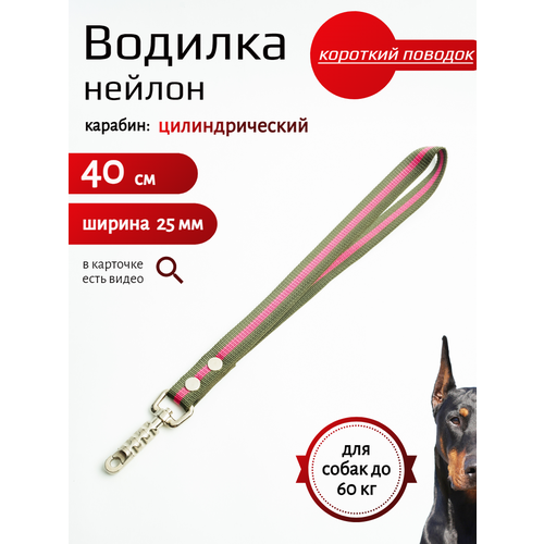 Водилка Хвостатыч для собак с цилиндрическим карабином нейлон 40 см х 25 мм (Зелено-красный) фото