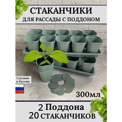 Рассадник, горшочки для рассады 300 мл, 20 шт, 2 ящика, стаканчики со съемным дном, многоразовые фото