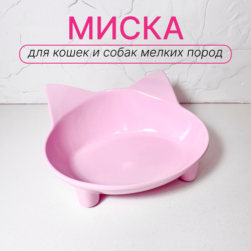 Миска для кошек и собак на ножках не глубокая / Миска для домашних животных розовая фото