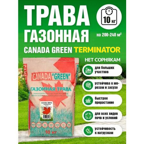 Газонная трава семена Канада Грин Нет сорнякам 10кг / Canada Green Terminator 10кг фото