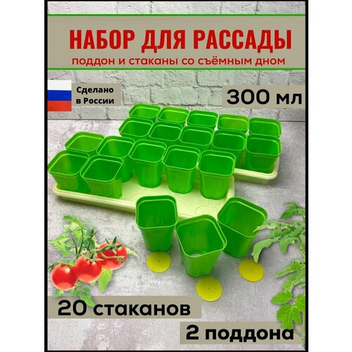 Рассадники, горшочки для рассады 300 мл, 20 шт, 2 ящика, стаканчики со съемным дном, многоразовые фото