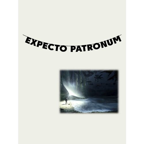 Гирлянда бумажная растяжка из букв черная - EXPECTO PATRONUM фото