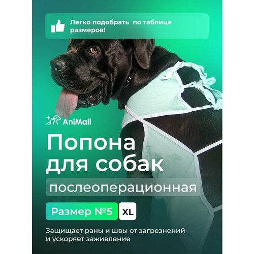 Попона для собак послеоперационная №5 AniMall фото