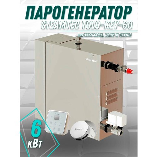 Парогенератор для хамама и турецкой бани Steamtec TOLO-60-KEY, 6 кВт (влагостойкий модуль управления) фото