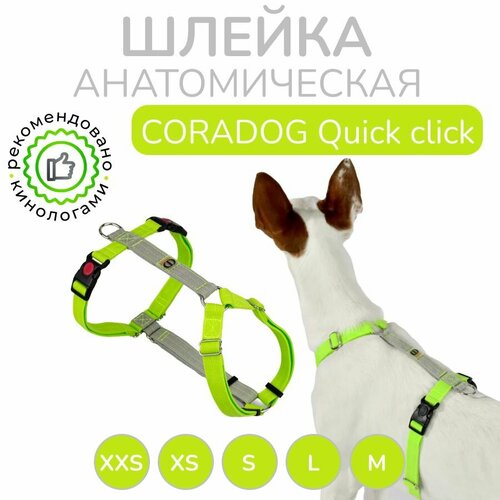 Шлейка прогулочная анатомическая для мелких пород собак и кошек, CORADOG Quick click, размер XXS, цвет салатовый, серый фото