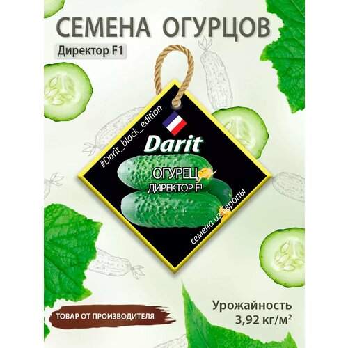 фотография Семена огурцов Директор F1 Darit Black Edition гибрид, купить за 247р