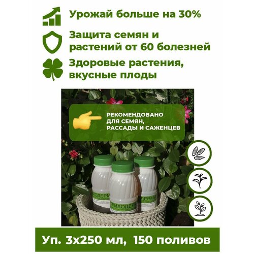 Триходерма концентрат - Триходермин жидкий 3 бут. по 250мл биофунгицид удобрение для растений Корпус Агро. Лечит растения от более 60 болезней, повышает урожайность до 30%. фото