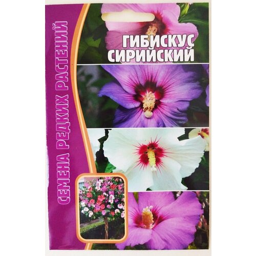 Семена редких многолетников: Гибискус сирийский (7шт) фото