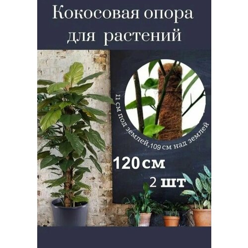 Кокосовая опора для комнатных и садовых цветов, держатель для растений в оплетке, 120 см , 2 шт. фото