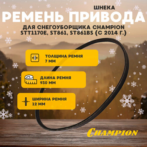 Ремень привода шнека для снегоуборщика CHAMPION STT1170E, ST861, ST861BS (с 2014 г.) фото