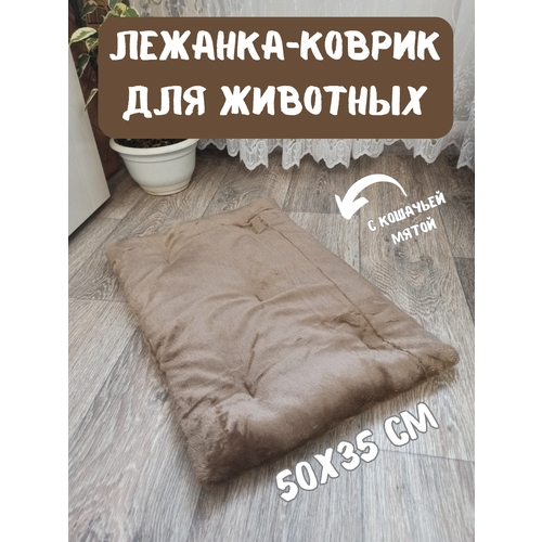 Лежанка-коврик подстилка для животных, 50х35 см, лежак для кошек с кошачьей мятой шоколад фото