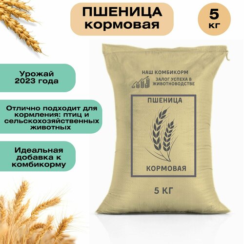 Пшеница кормовая 5 кг. Незаменимый продукт для сельскохозяйственных животных, подходит для кормления птицы, кроликов и КРС фото