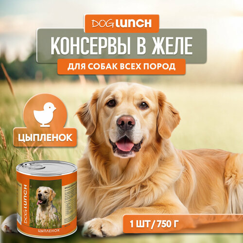 фотография Влажный корм для собак Dog Lunch цыпленок 1 уп. х 1 шт. х 750 г, купить за 244р